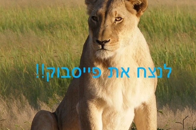 איך נצליח לנצח את מסחטת הכספים של פייסבוק?